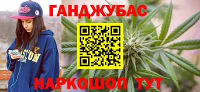 хмурый Тара