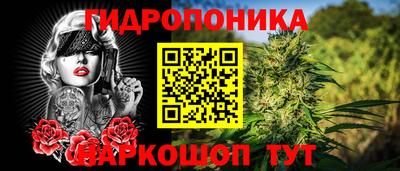 хмурый Тара
