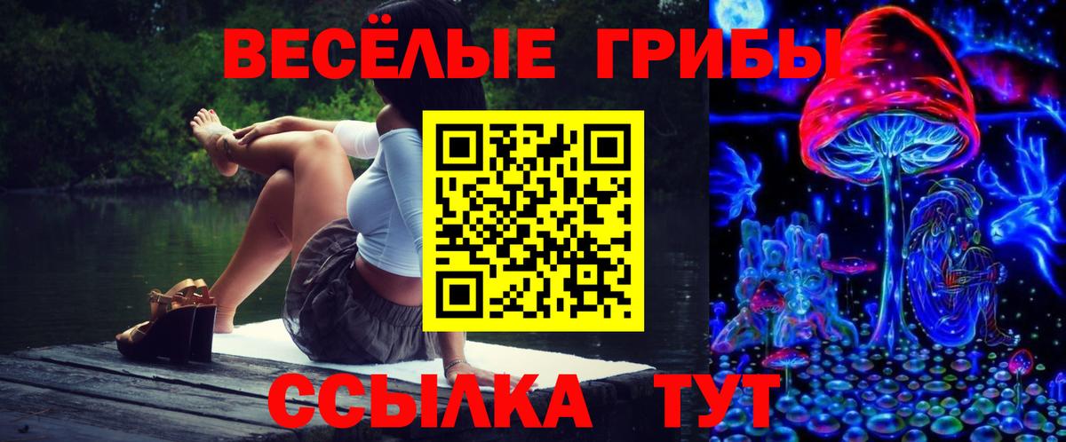Псилоцибиновые грибы Psilocybe  Псилоцибиновые грибы Cubensis  Орёл  Вход с VPN 